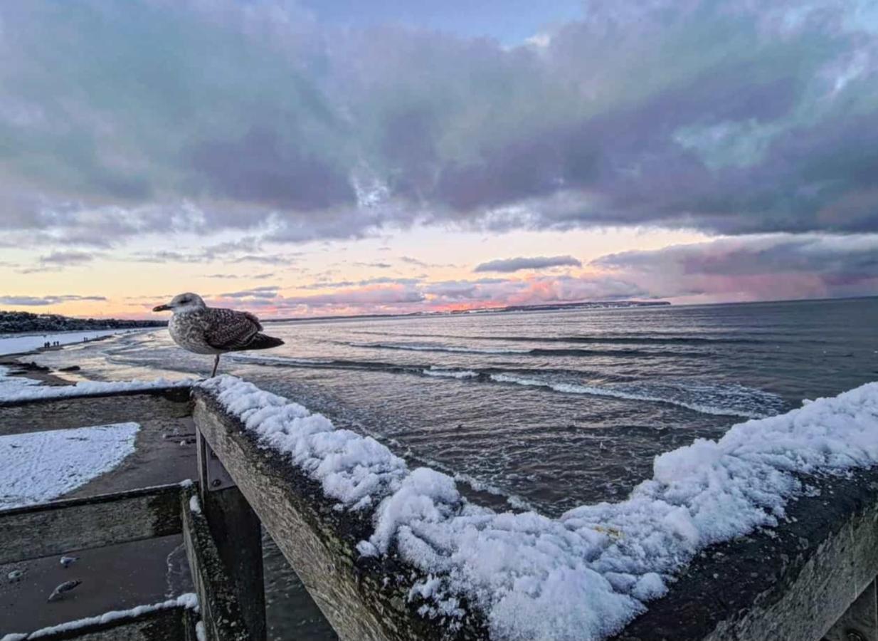 ホテル Gasthaus & Pension Natzke Usedom Town エクステリア 写真